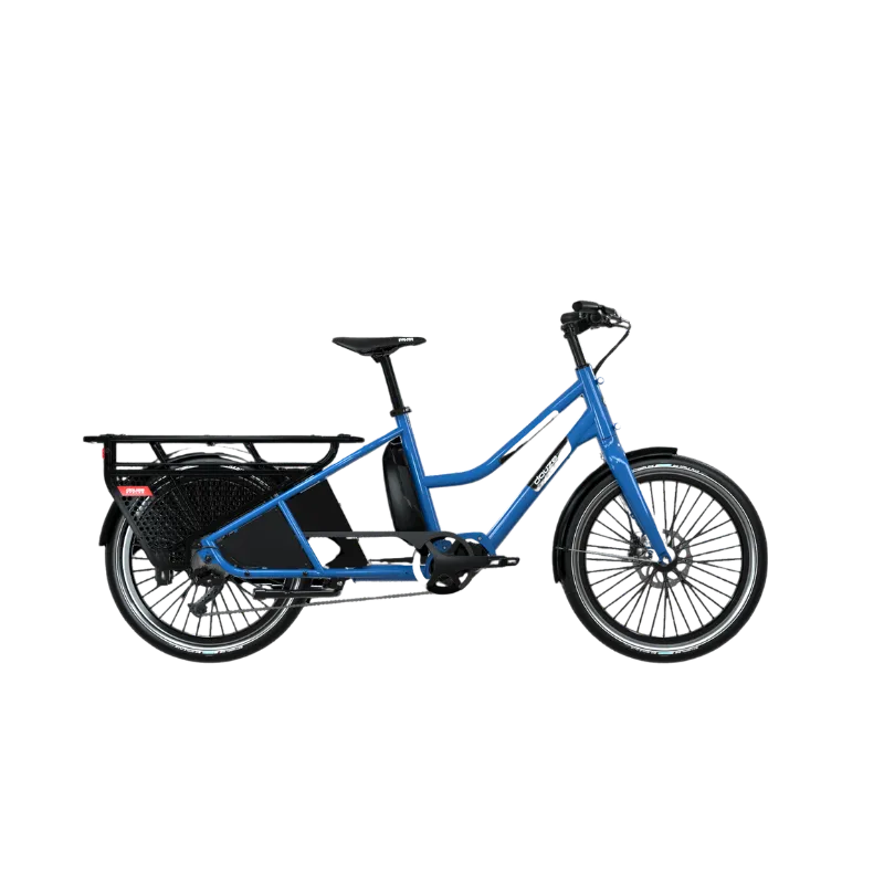 Douze LT2s